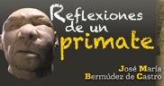 Reflexiones de un primate