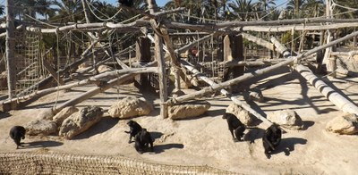 La herida del olvido