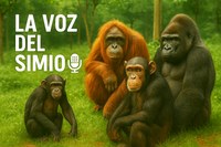La voz del simio
