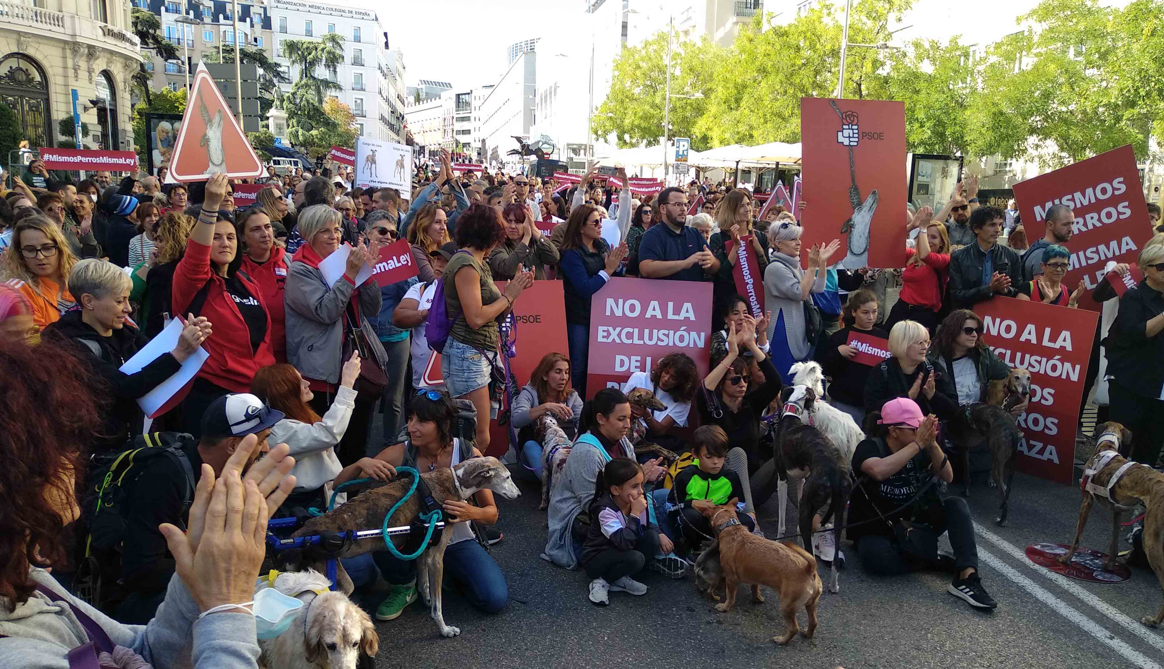 Proyecto Gran Simio  en las jornadas parlamentarias y concentración frente al Congreso a favor de la Ley de Protección Animal