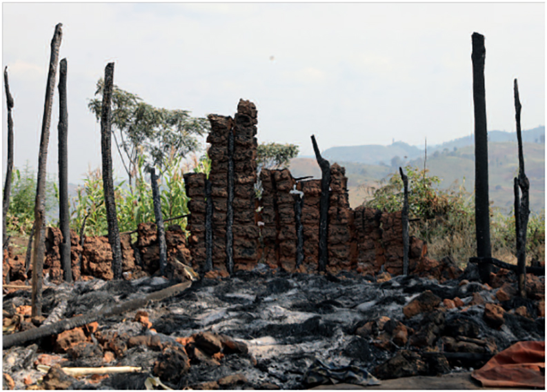 Proyecto Gran Simio solicita de inmediato el cierre del Parque Nacional Kahuzi-Biega donde es visitado por turistas para ver a los gorilas, por violación sistemática  de los derechos humanos al pueblo Batwa.